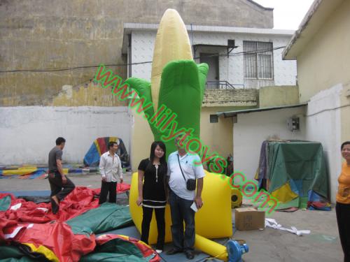 Corn mold