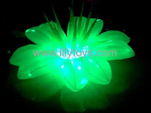 led006