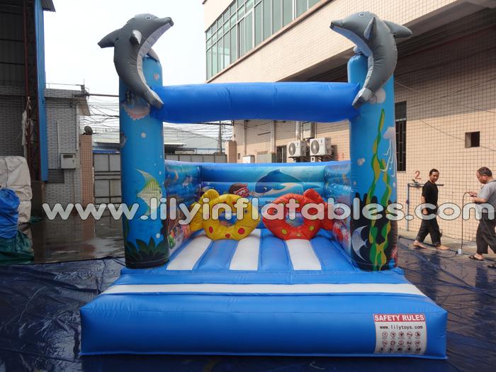 Sea world bouncer