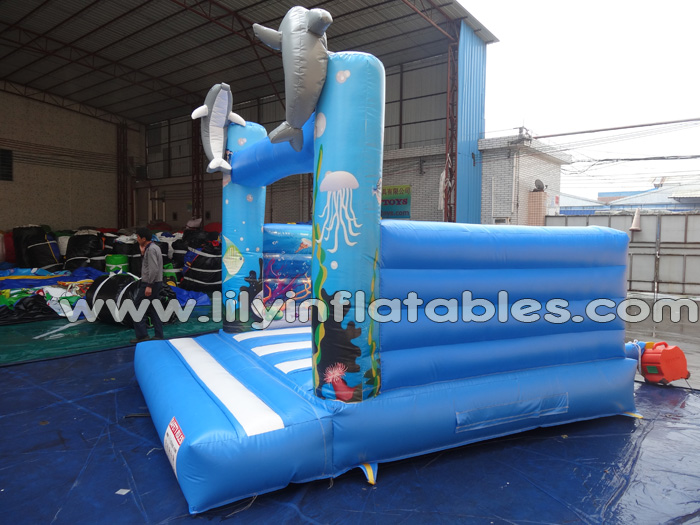 Sea world bouncer