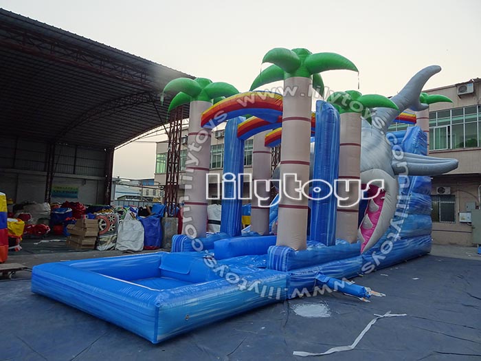 shark water slide