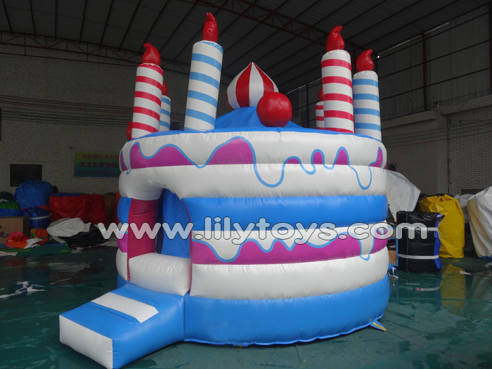 Birthday Cake Bouncer