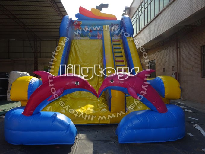 Dolphin new slide