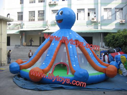 octopus