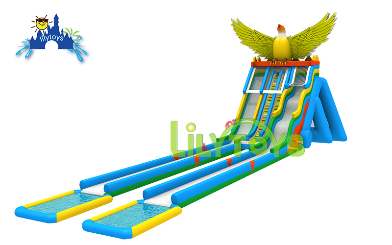 Eagle Water Slide