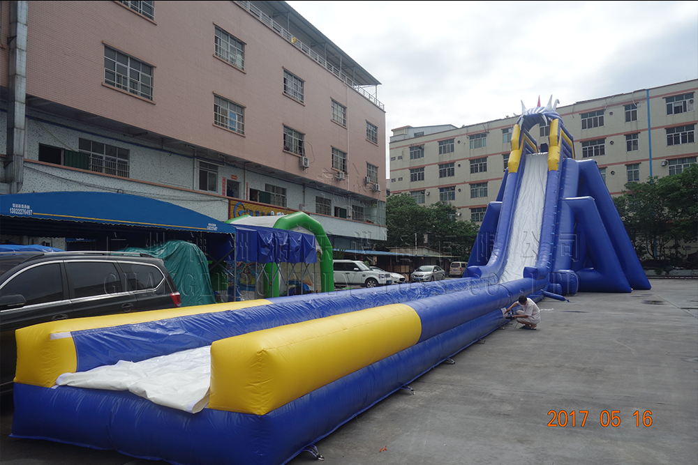 HIPPO SLIDE-2020-06