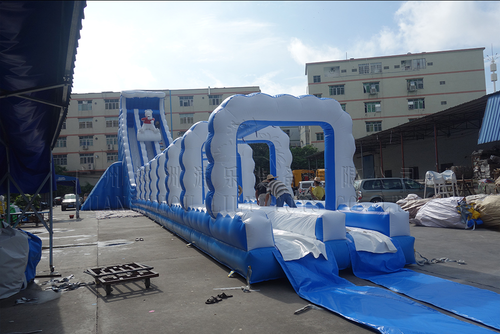 HIPPO SLIDE-2020-05