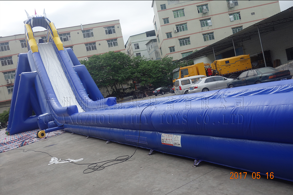 HIPPO SLIDE-2020-06